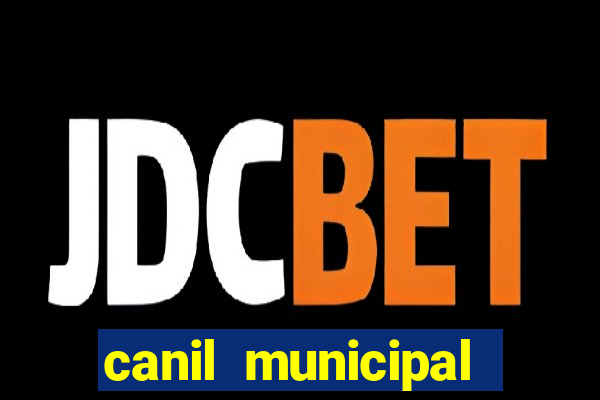 canil municipal porto alegre